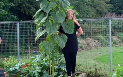 Our Allotments