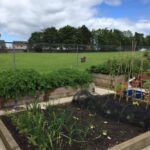 Home-Start allotment in East Lothian